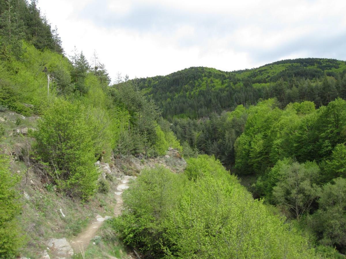 Hotel Deyanira Gorno Dryanovo Bagian luar foto